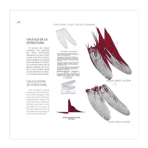 Biónica, Biomimética y Arquitectura - Imagen 4