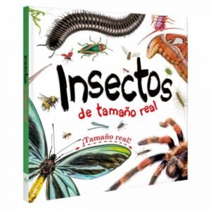 Insectos de tamaño real