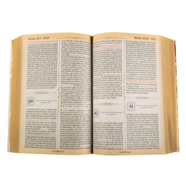 Sagrada Biblia Dorada - Imagen 2